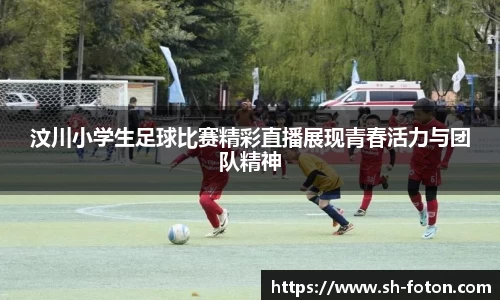 汶川小学生足球比赛精彩直播展现青春活力与团队精神