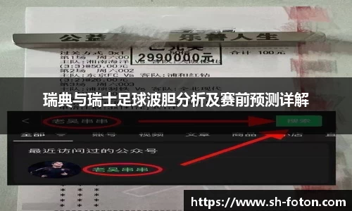 瑞典与瑞士足球波胆分析及赛前预测详解