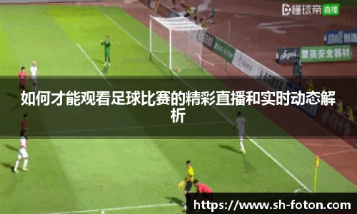 如何才能观看足球比赛的精彩直播和实时动态解析